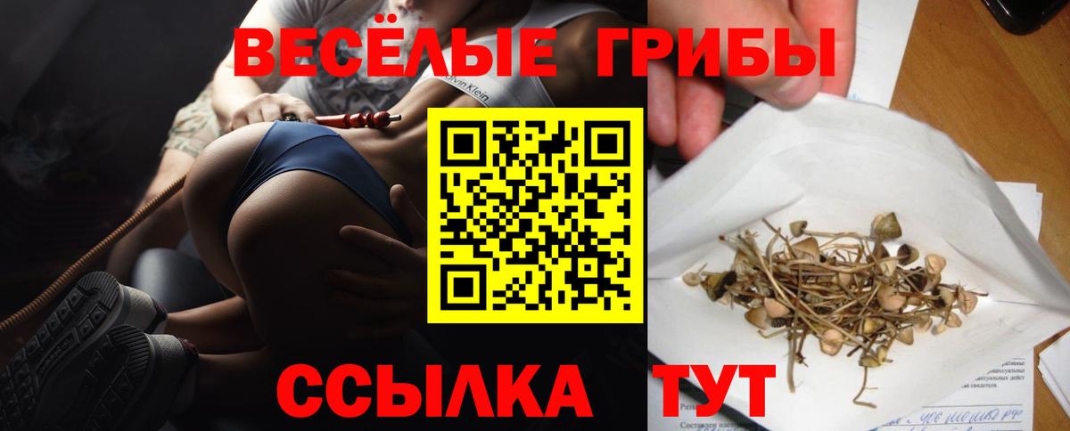 Галлюциногенные грибы мицелий Наро-Фоминск